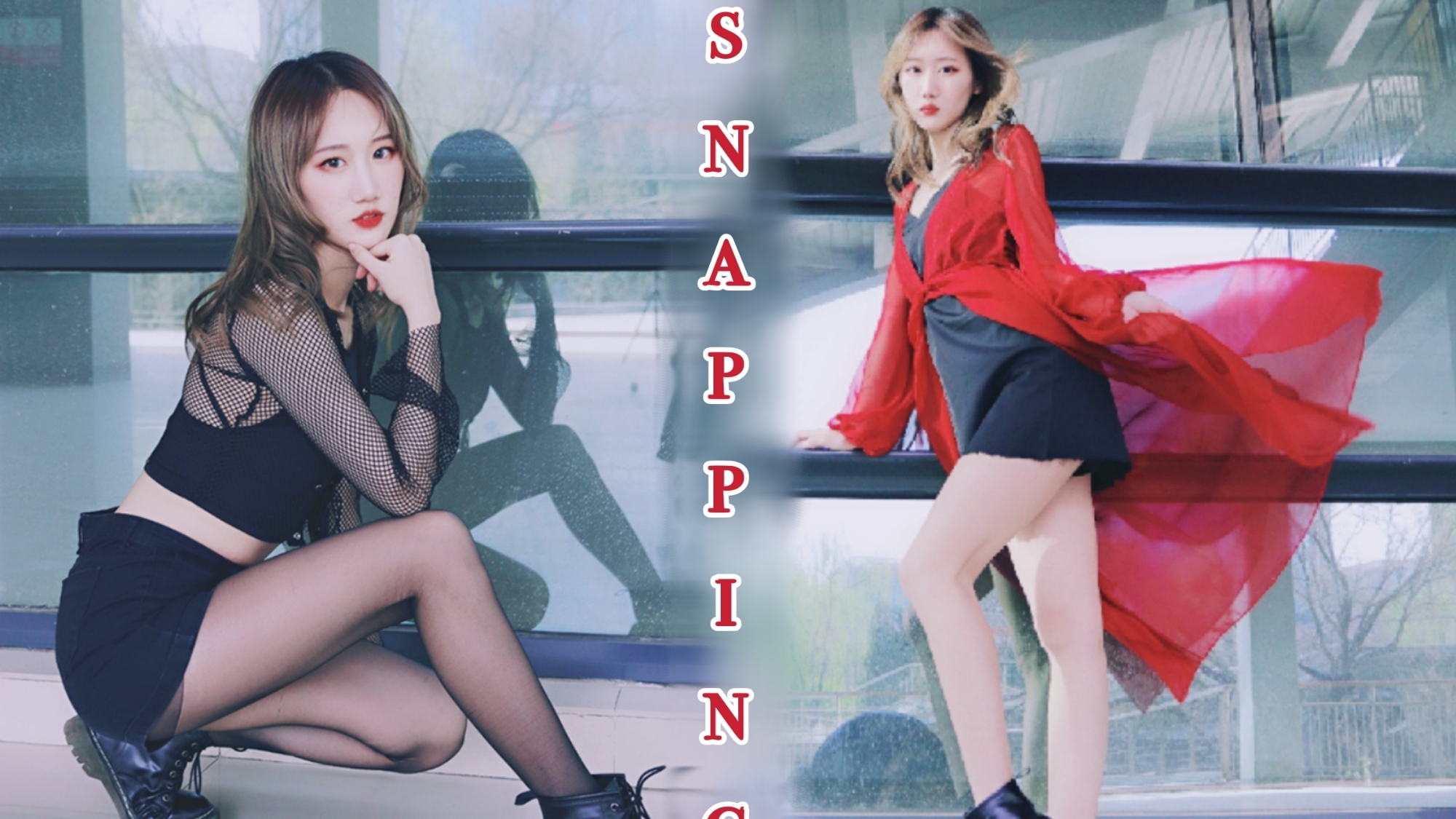 【竹熊】Snapping 鸽王小熊 突然高产 金请夏 穷哈